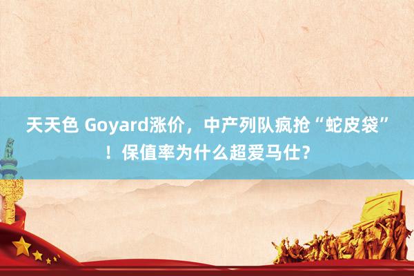 天天色 Goyard涨价，中产列队疯抢“蛇皮袋”！保值率为什么超爱马仕？