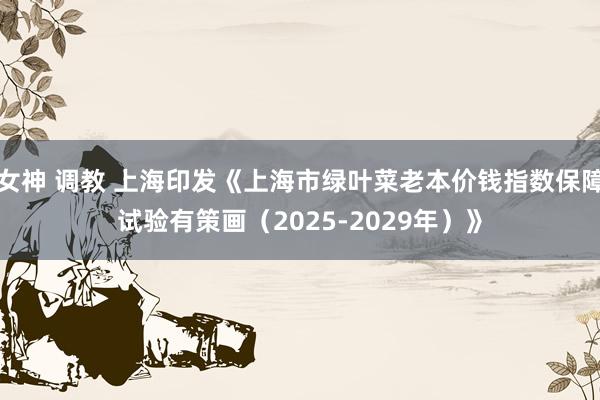 女神 调教 上海印发《上海市绿叶菜老本价钱指数保障试验有策画（2025-2029年）》