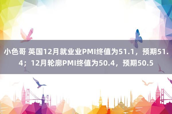 小色哥 英国12月就业业PMI终值为51.1，预期51.4；12月轮廓PMI终值为50.4，预期50.5