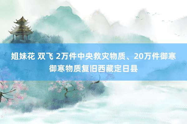 姐妹花 双飞 2万件中央救灾物质、20万件御寒御寒物质复旧西藏定日县