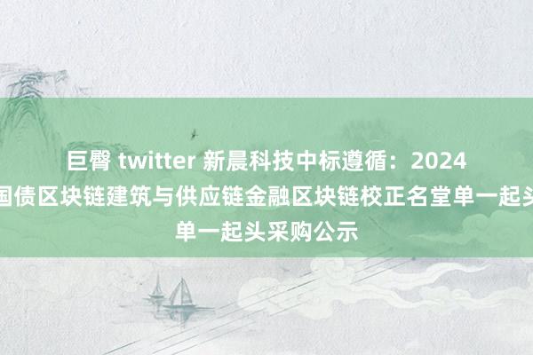 巨臀 twitter 新晨科技中标遵循：2024年把柄式国债区块链建筑与供应链金融区块链校正名堂单一起头采购公示