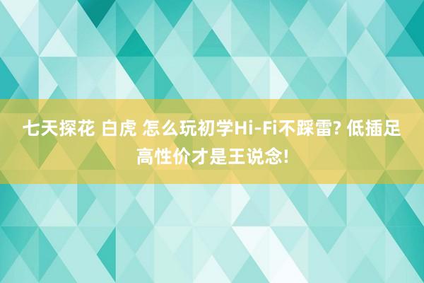 七天探花 白虎 怎么玩初学Hi-Fi不踩雷? 低插足高性价才是王说念!