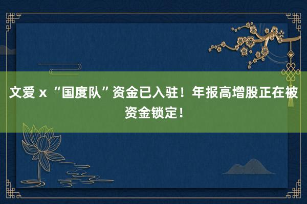 文爱 x “国度队”资金已入驻！年报高增股正在被资金锁定！