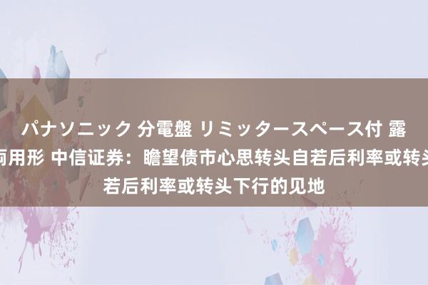 パナソニック 分電盤 リミッタースペース付 露出・半埋込両用形 中信证券：瞻望债市心思转头自若后利率或转头下行的见地