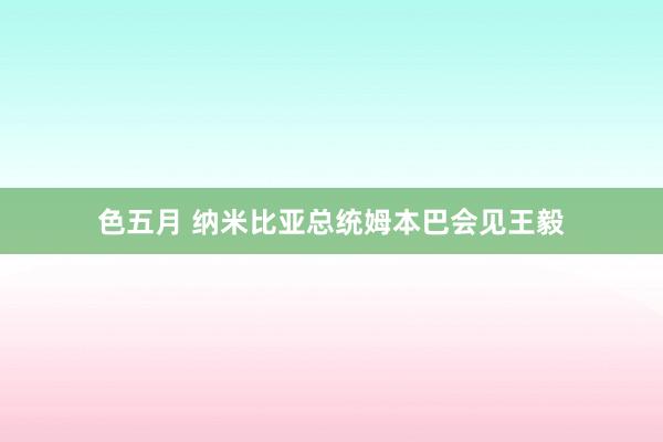 色五月 纳米比亚总统姆本巴会见王毅