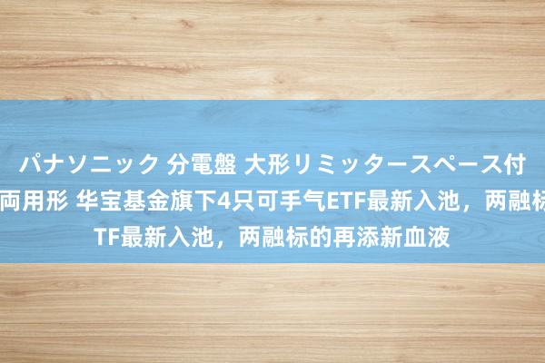 パナソニック 分電盤 大形リミッタースペース付 露出・半埋込両用形 华宝基金旗下4只可手气ETF最新入池，两融标的再添新血液