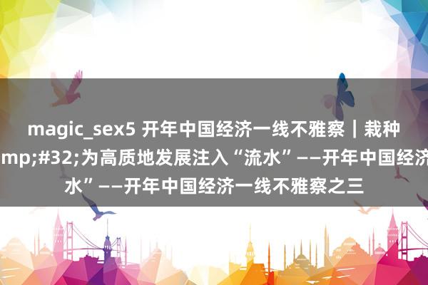 magic_sex5 开年中国经济一线不雅察｜栽种金融奇迹质效&#32;为高质地发展注入“流水”——开年中国经济一线不雅察之三