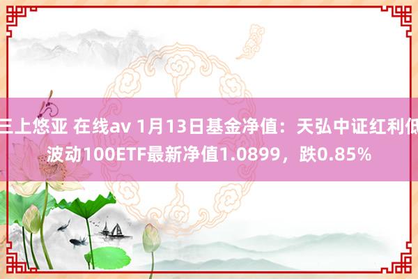 三上悠亚 在线av 1月13日基金净值：天弘中证红利低波动100ETF最新净值1.0899，跌0.85%