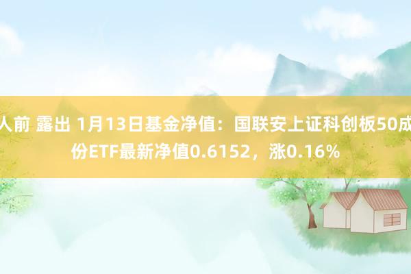 人前 露出 1月13日基金净值：国联安上证科创板50成份ETF最新净值0.6152，涨0.16%