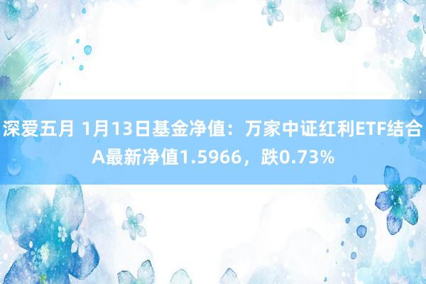 深爱五月 1月13日基金净值：万家中证红利ETF结合A最新净值1.5966，跌0.73%