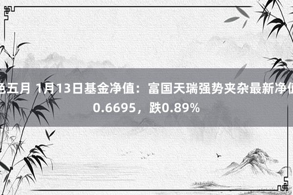 色五月 1月13日基金净值：富国天瑞强势夹杂最新净值0.6695，跌0.89%