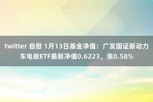 twitter 自慰 1月13日基金净值：广发国证新动力车电板ETF最新净值0.6223，涨0.58%