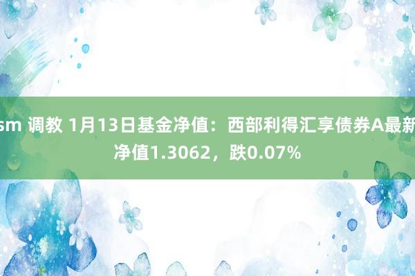 sm 调教 1月13日基金净值：西部利得汇享债券A最新净值1.3062，跌0.07%