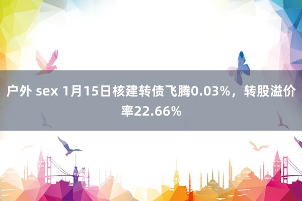 户外 sex 1月15日核建转债飞腾0.03%，转股溢价率22.66%