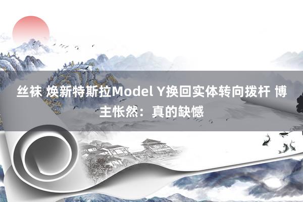 丝袜 焕新特斯拉Model Y换回实体转向拨杆 博主怅然：真的缺憾