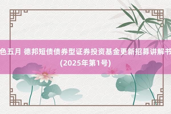 色五月 德邦短债债券型证券投资基金更新招募讲解书(2025年第1号)